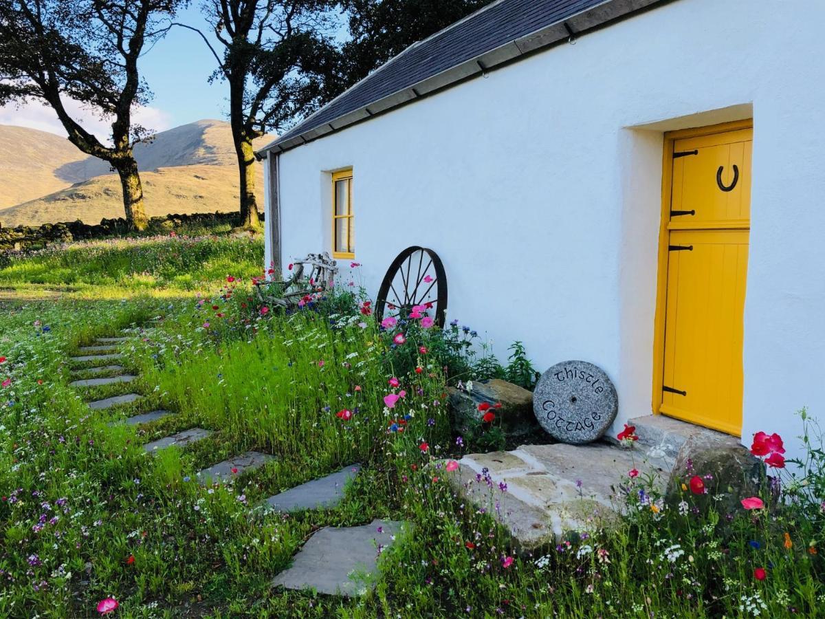 Thistle Thatch Cottage And Hot Tub - Mourne Mountains Newcastle  Exterior foto