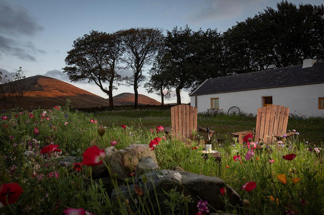 Thistle Thatch Cottage And Hot Tub - Mourne Mountains Newcastle  Exterior foto